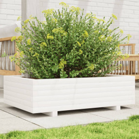 Garden Planter White Solid pine wood Medium Durable