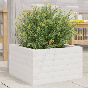 Garden Planter White Solid pinewood 15.7x15.7x9.1 in