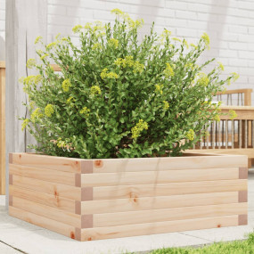 Garden Planter Natural Wood Solid Pine Wood Medium