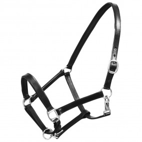 Horse Headcollar Black Buffalo leather Full Adjustable ...