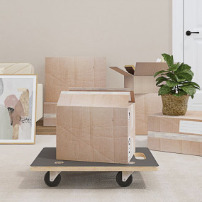 Transport Trolleys 2 pcs Rectangular 23.6"x15.7"x4.5" 5...