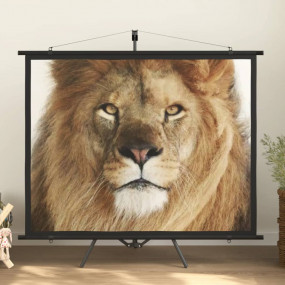 Imag:Projection Screen with Tripod 72 4:3