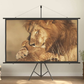 Imag:Projection Screen with Tripod 90 16:9