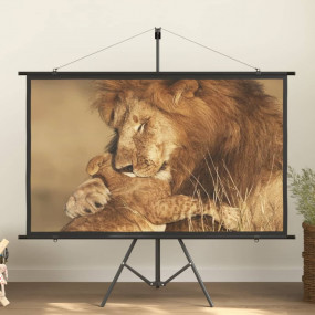 Imag:Projection Screen with Tripod 72 16:9