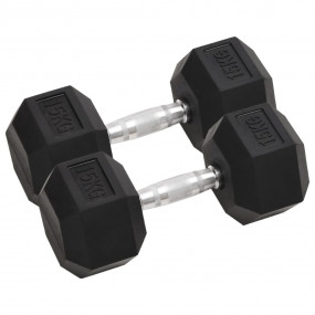 Dumbbells 2 pcs 66.1 lb Cast Iron