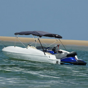 4-bow Bimini Top with Mesh Sidewalls 95.7x(72.8-78.0)x5...