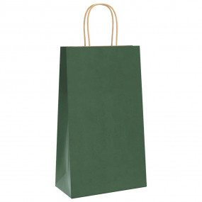 Paper Bags 250 pcs with Handles Green 21x11x36 cm