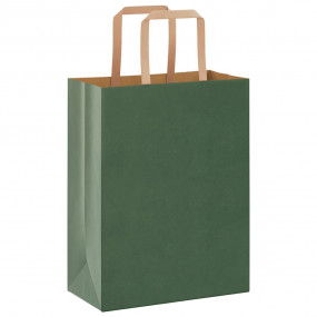 Paper Bags 50 pcs with Handles Green 21x11x28 cm