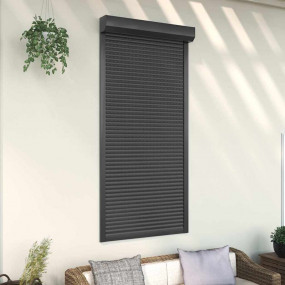 Roller Shutter Aluminum 39.4x82.7" Anthracite