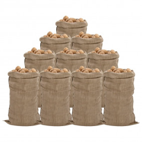 Imag:Jute Sacks 10 pcs 25.6x53.1 100% Jute 340 gsm