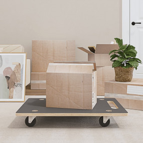 Transport Trolleys 2 pcs Rectangular 31.5"x21.7"x4.5" 5...