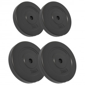 Weight Plates 4 pcs 66.1 lb Cement