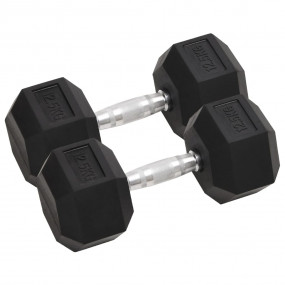 Dumbbells 2 pcs 55.1 lb Cast Iron