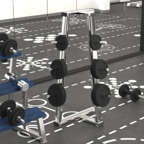 Weight Plates 6 pcs 66.1 lb Cast Iron