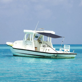 T-Top Shade Extension Blue 66.9 x 66.9 x (45.3-72.0) "