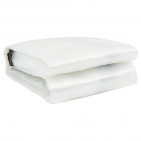 Clear Tarpaulin with Eyelets 26.2x32.8' Polyethylene