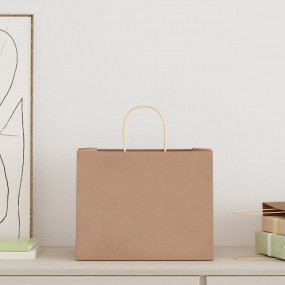 Paper Bags 50 pcs with Handles Brown 32x22x24 cm