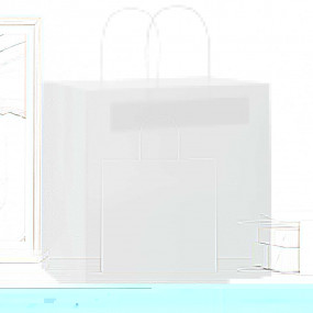 Paper Bags 50 pcs with Handles White 26x17x25 cm