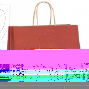 Paper Bags 250 pcs with Handles Red 32x17x25 cm