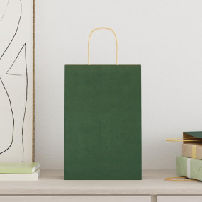 Paper Bags 50 pcs with Handles Green 21x11x31 cm