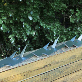 Wall Spikes 2 pcs Steel 3.3'