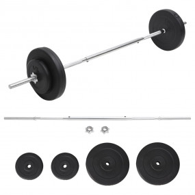 Barbell with Plates Set 66.1 lb
