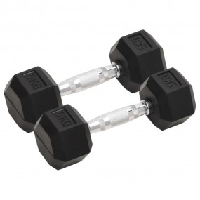 Dumbbells 2 pcs 22.0 lb Cast Iron