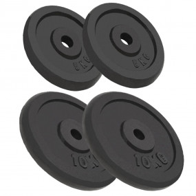Weight Plates 4 pcs 2x22.0 lb+2x11.0 lb Cast Iron