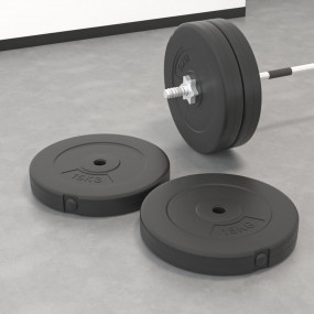 Weight Plates 2 pcs 66.1 lb Cement