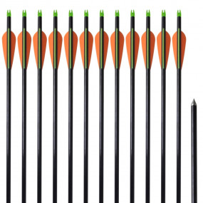 Standard Compound Bow Arrows 30" 0.3 " Fiberglass 12 pc...