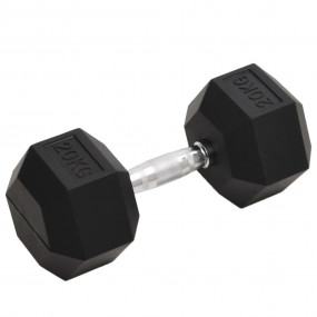 Dumbbell 44.1 lb Cast Iron