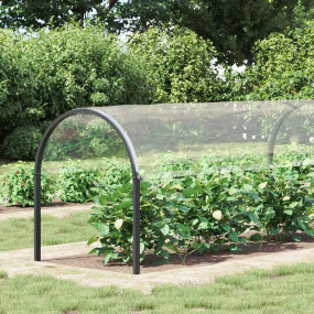 Clear Tarpaulin with Eyelets 6.6x26.2' PVC