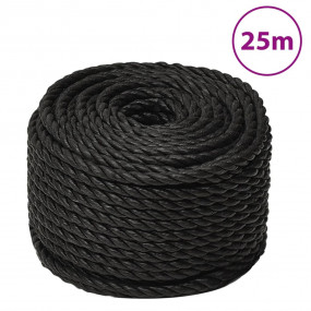 Work Rope Black 0.39 " 82.0 ' Polypropylene