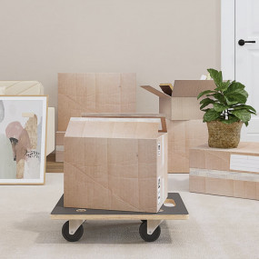 Transport Trolleys 2 pcs Rectangular 19.7"x13.8"x4.5" 5...