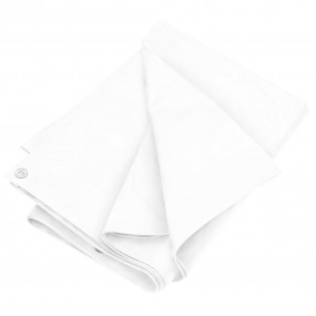 Tarpaulin 0.6 oz/ft 19.7'x19.7' White HDPE