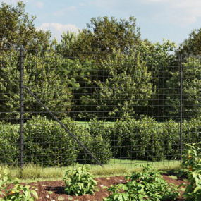 Wire Mesh Fence with Spike Anchors Anthracite 5.2x32.8'