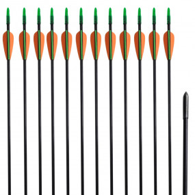 Standard Recurve Bow Arrows 30" 0.2 " Fiberglass 12 pcs