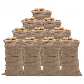Jute Sacks 10 pcs 25.6x53.1" 100% Jute 220 gsm