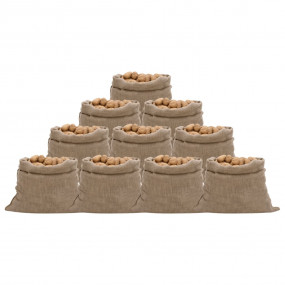 Jute Sacks 10 pcs 39.4x43.3" 100% Jute 220 gsm