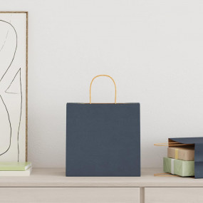 Paper Bags 50 pcs with Handles Blue 26x17x25 cm