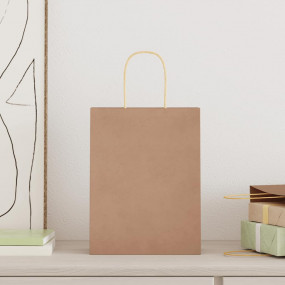 Paper Bags 50 pcs with Handles Brown 21x11x28 cm