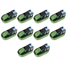 Ratchet Tie Down Straps 10 pcs 800 daN 19.7 ' Green
