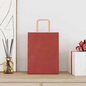 Paper Bags 50 pcs with Handles Red 21x11x28 cm