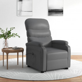 Stand Up Chair Anthracite Faux leather, Iron, Poplar wo...