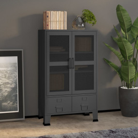 Storage Chest Anthracite Metal 27.6 x 15.7 x 45.3 in Do...